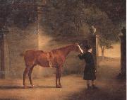 John Ferneley Mr Wombell's Hunter with a Groom in a Courtyard oil painting